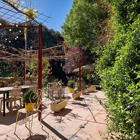 B&B Mas Torrencito Pet Friendly Parets de Ampurdá Екстериор снимка