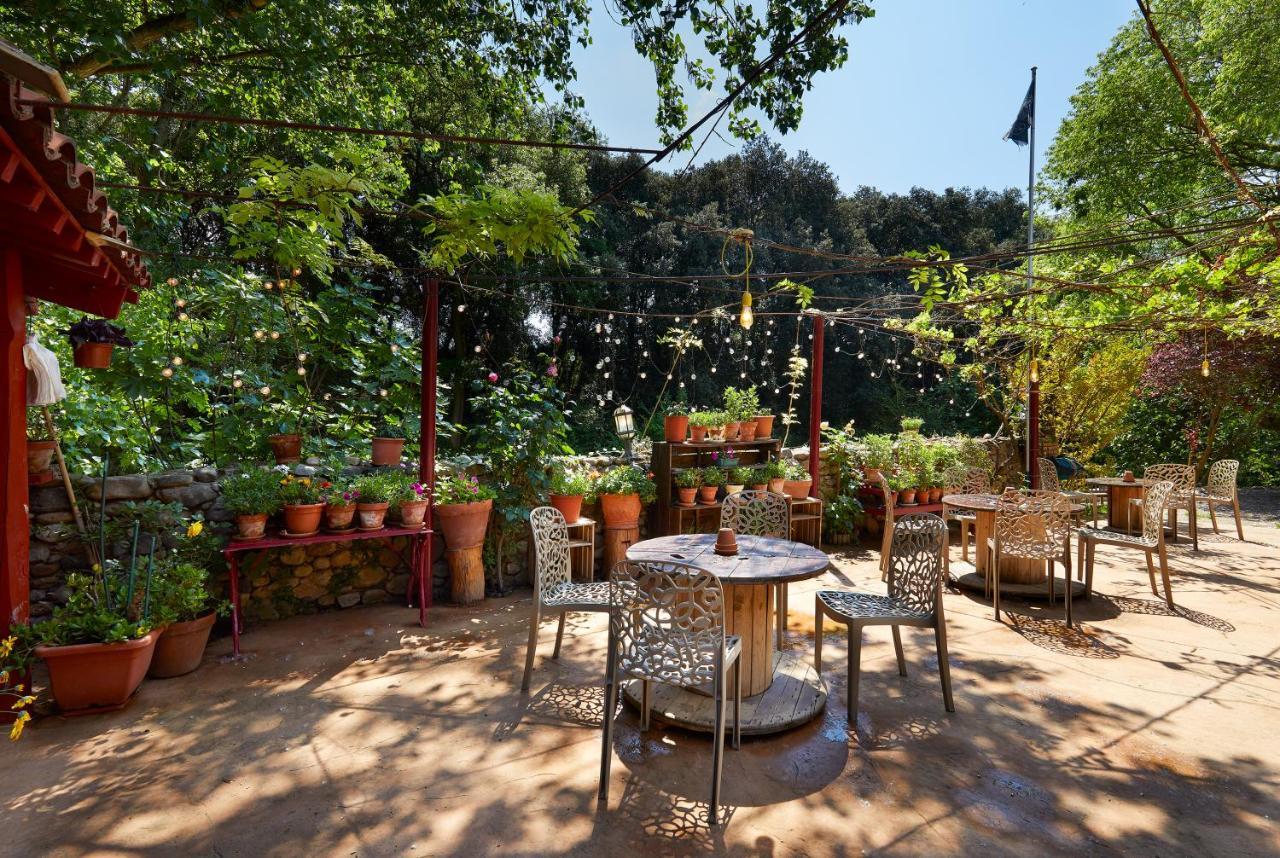 B&B Mas Torrencito Pet Friendly Parets de Ampurdá Екстериор снимка