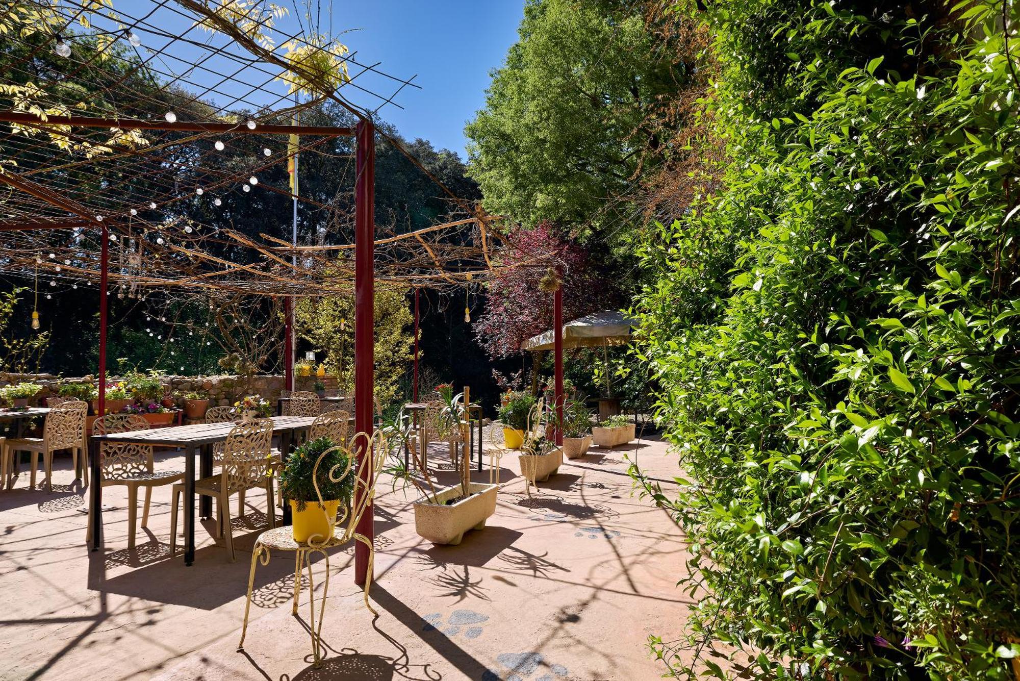 B&B Mas Torrencito Pet Friendly Parets de Ampurdá Екстериор снимка