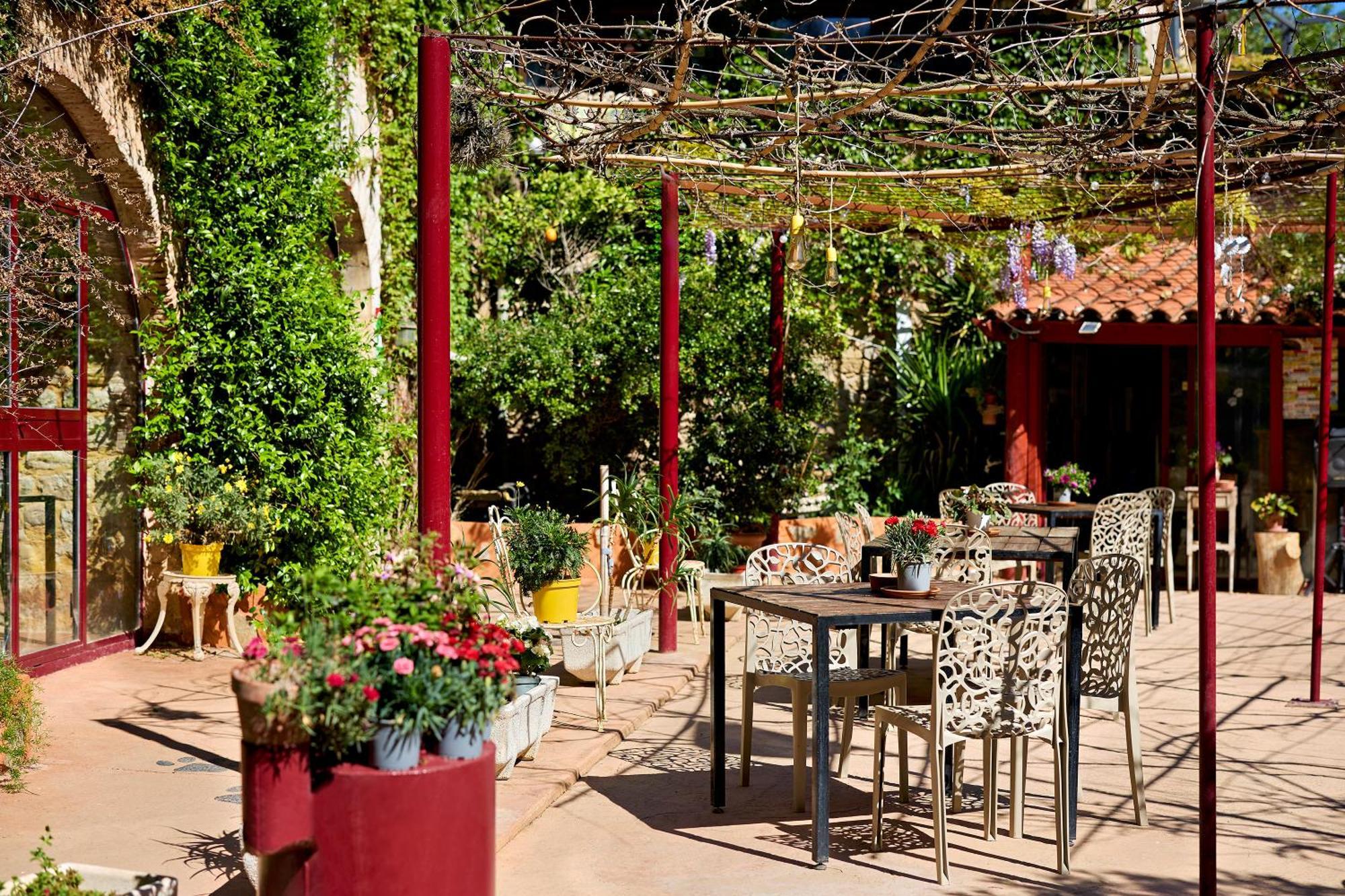 B&B Mas Torrencito Pet Friendly Parets de Ampurdá Екстериор снимка